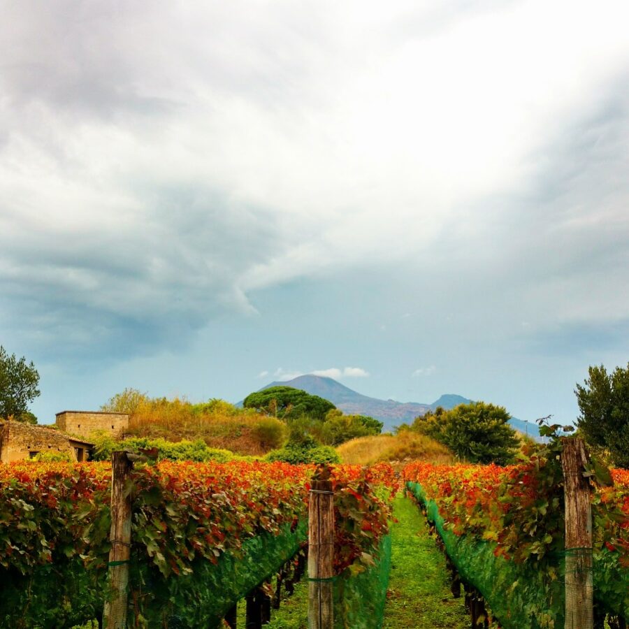 The Prosecco Hills - Colline di Luce